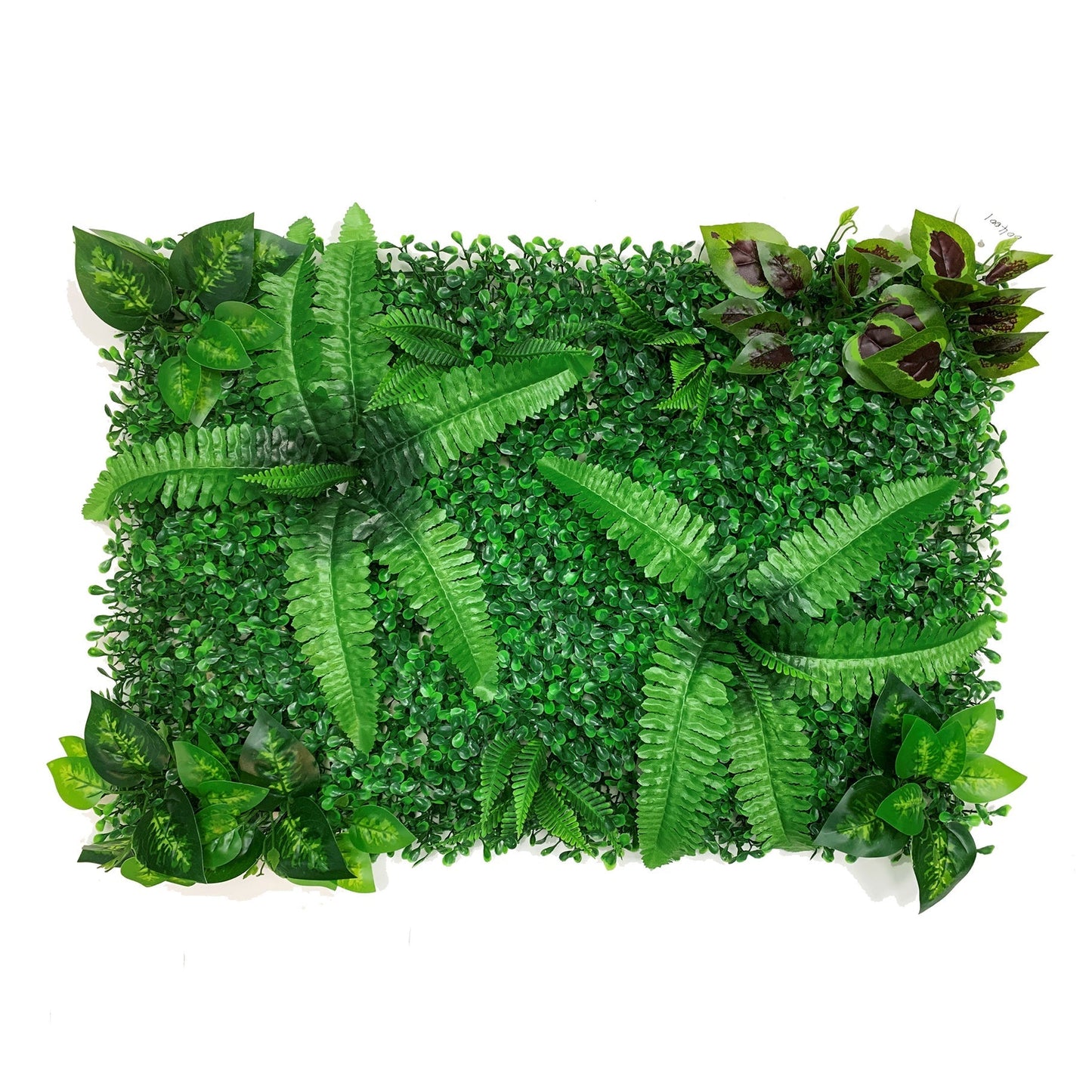 Betta Terra Twin Fern Garden Mat 40x60cm