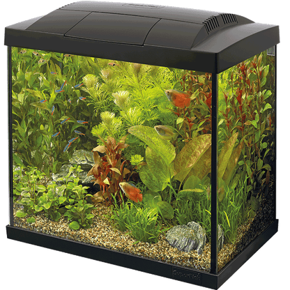 Superfish Starter Fish Tank - Available In 6 Sizes & 2 Colours