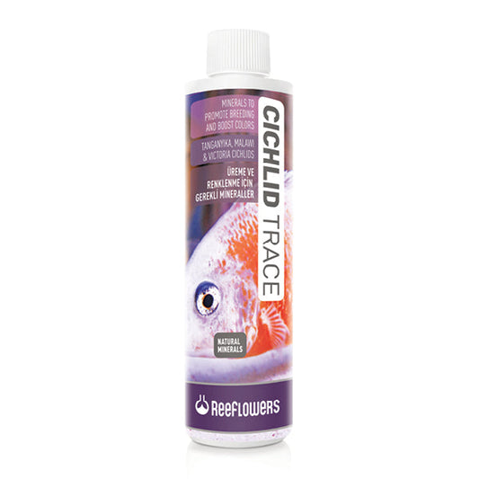 Reeflowers Cichlid Trace - Available In 3 Sizes
