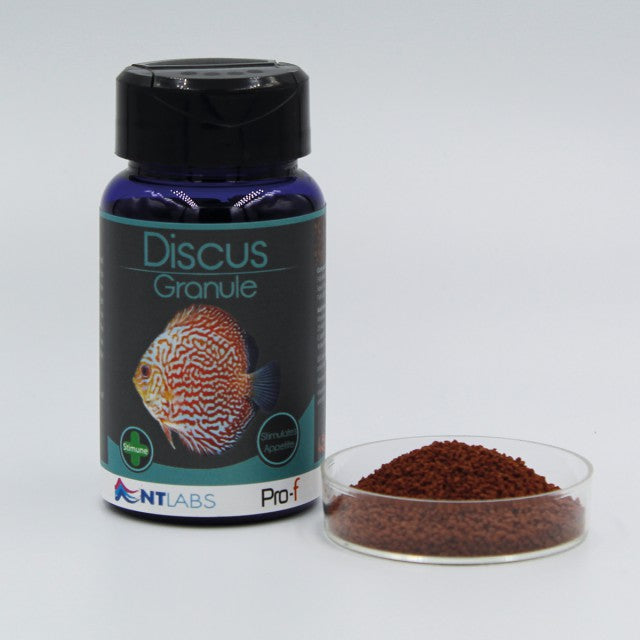 NT Labs Pro-f Discus Granule 60g