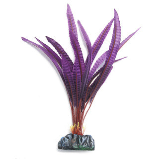 Betta Choice 20cm Silk Crypto Balansae