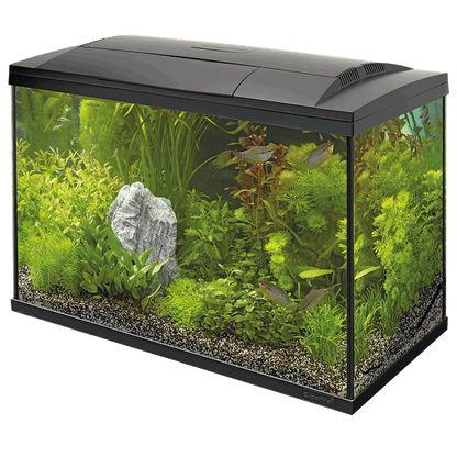 Superfish Starter Fish Tank - Available In 6 Sizes & 2 Colours