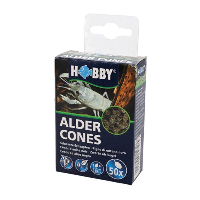 Hobby Alder Cones 50X