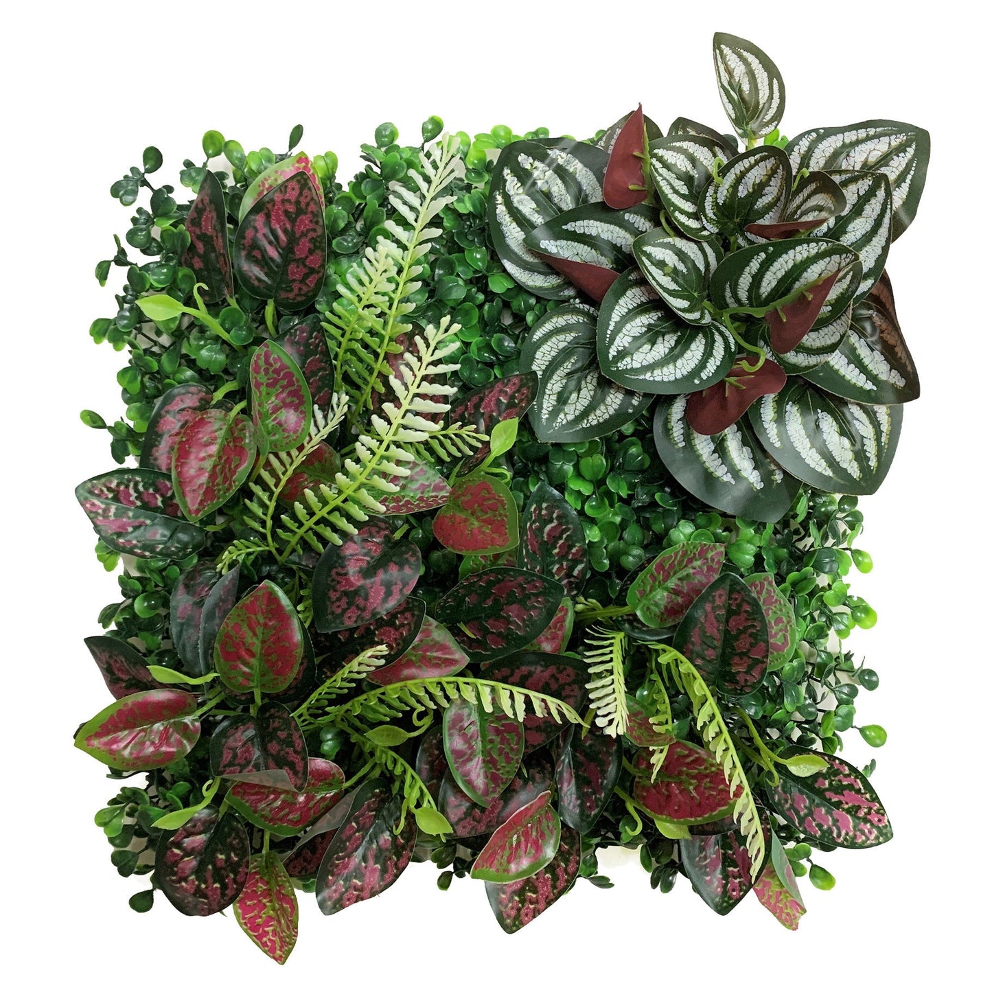Betta Terra Polka Dot Plant Mat 25x25cm