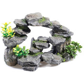Classic Rocky Arch Plants 2859