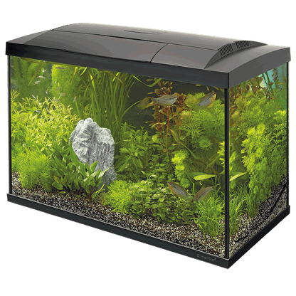 Superfish Starter Fish Tank - Available In 6 Sizes & 2 Colours