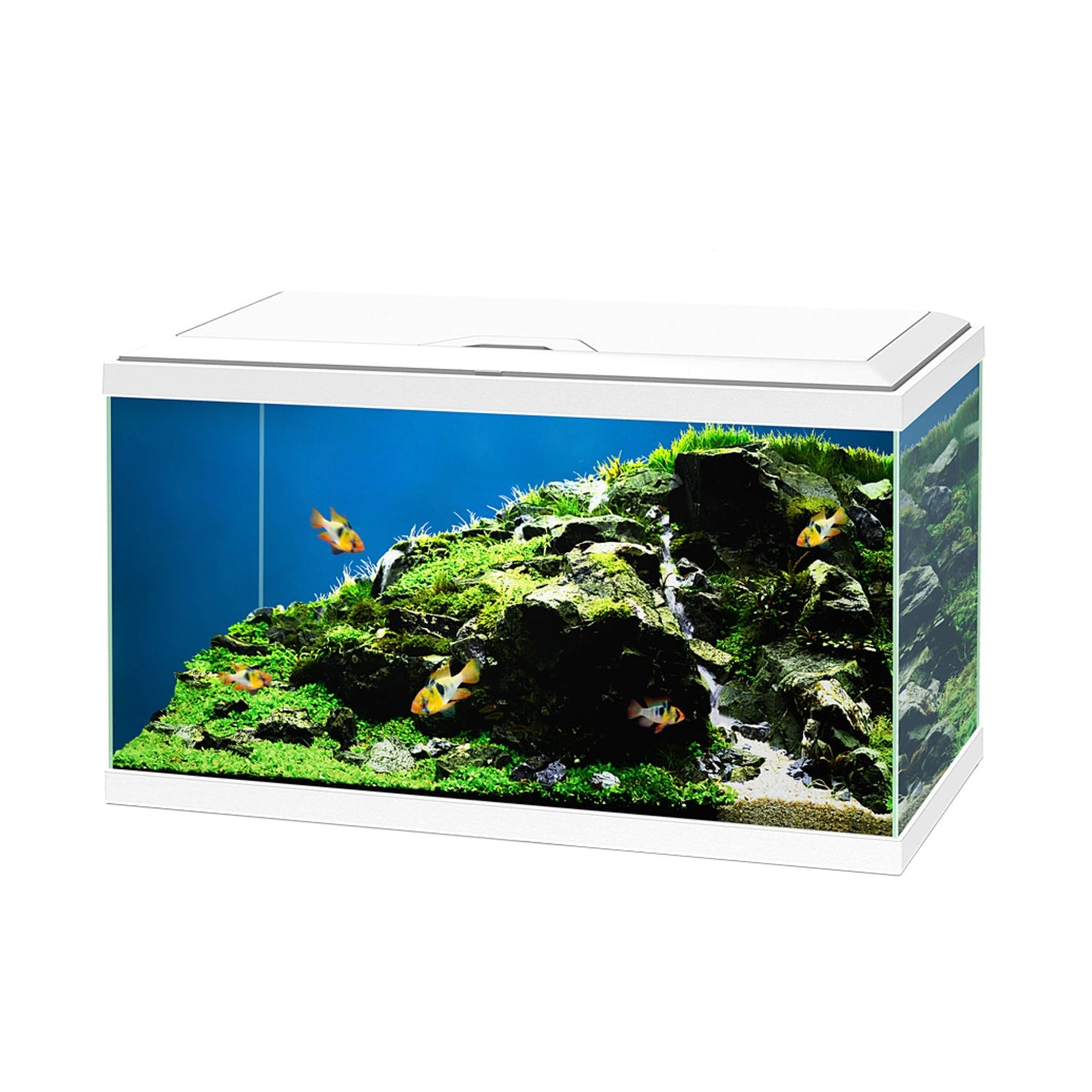Ciano Aqua 60 LED Aquarium 58L With White Stand