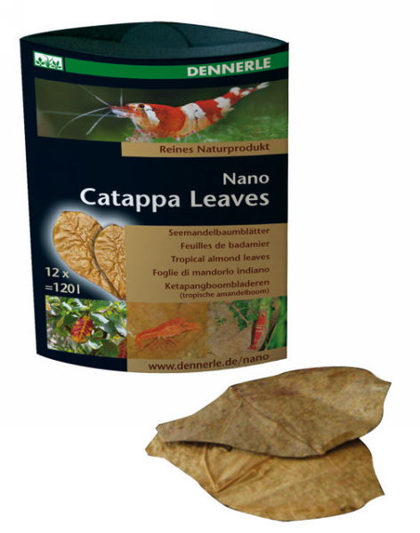 Dennerle Nano Catappa Leaves 12pcs