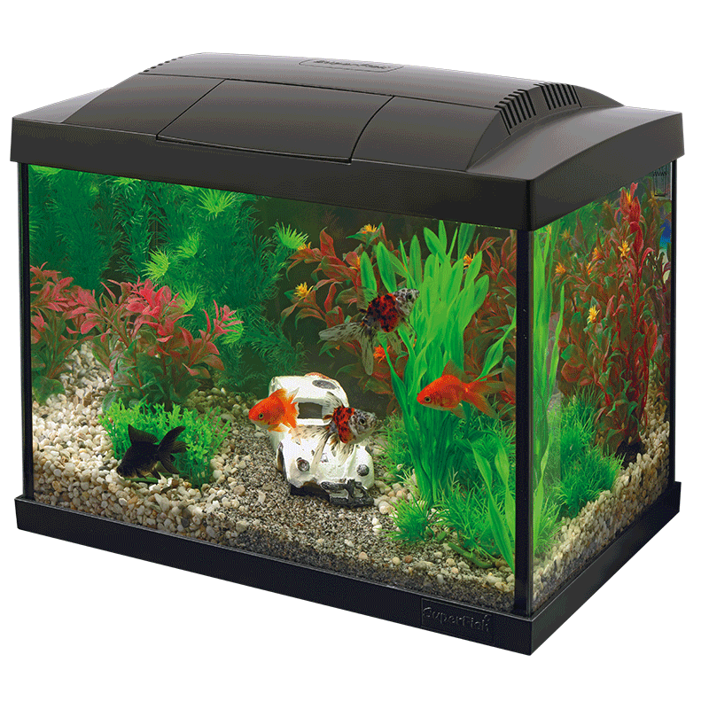 Superfish Starter Fish Tank - Available In 6 Sizes & 2 Colours