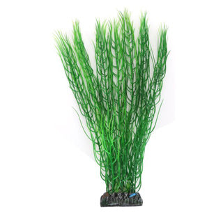 Betta Choice Plastic 40cm Green Plant