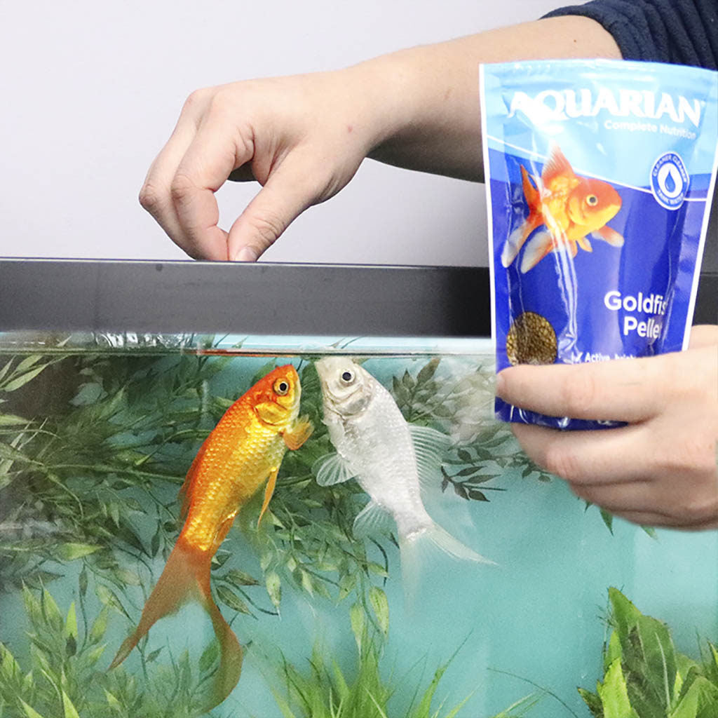 AQUARIAN® Goldfish Pellets - Available In 3 Sizes