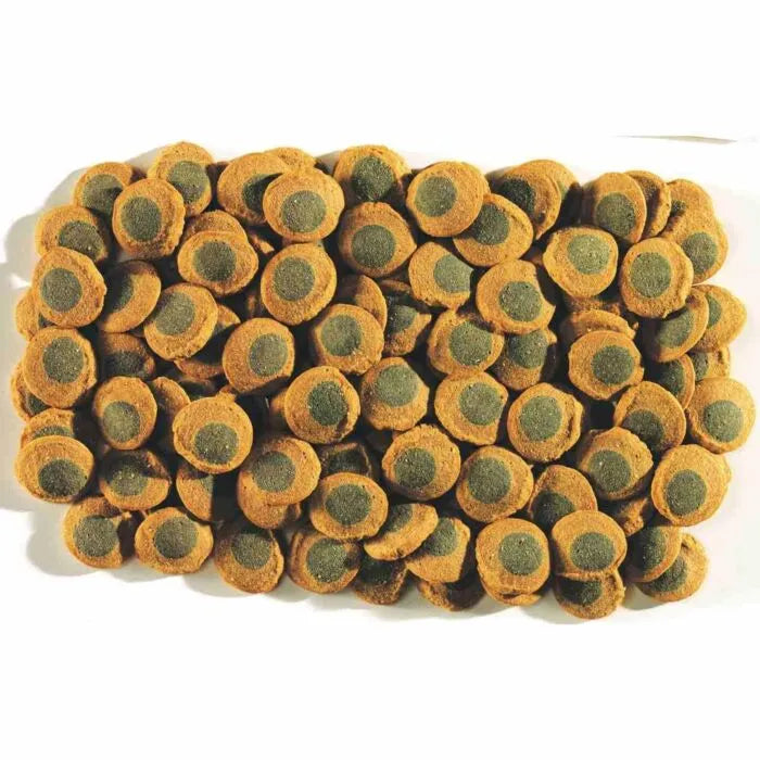 Tetra Pleco Spirulina Wafers - Available In 2 Sizes