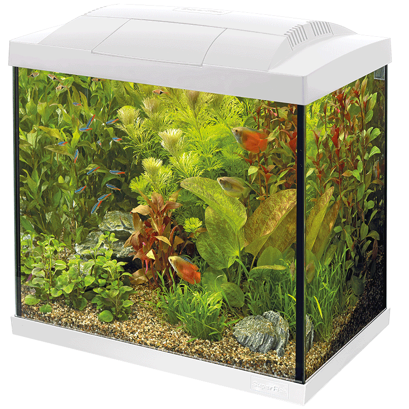 Superfish Starter Fish Tank - Available In 6 Sizes & 2 Colours
