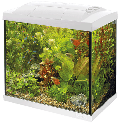 Superfish Starter Fish Tank - Available In 6 Sizes & 2 Colours