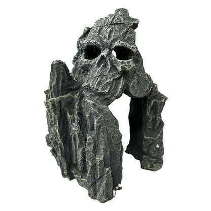 Grey Rock Form With Face