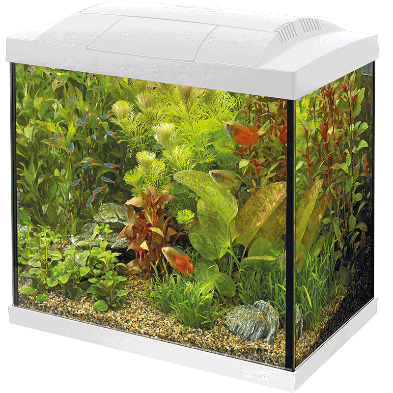 Superfish Starter Fish Tank - Available In 6 Sizes & 2 Colours