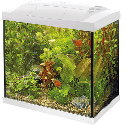 Superfish Starter Fish Tank - Available In 6 Sizes & 2 Colours