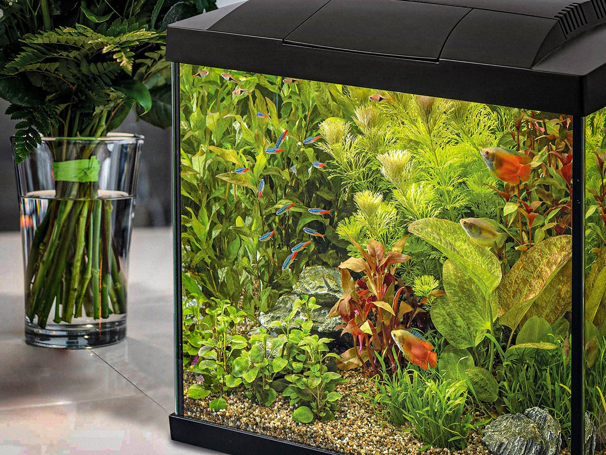 Superfish Start 20 Goldfish Aquarium Set | 20 Liter, Weiß, Mit LED, Filter & Zubehör