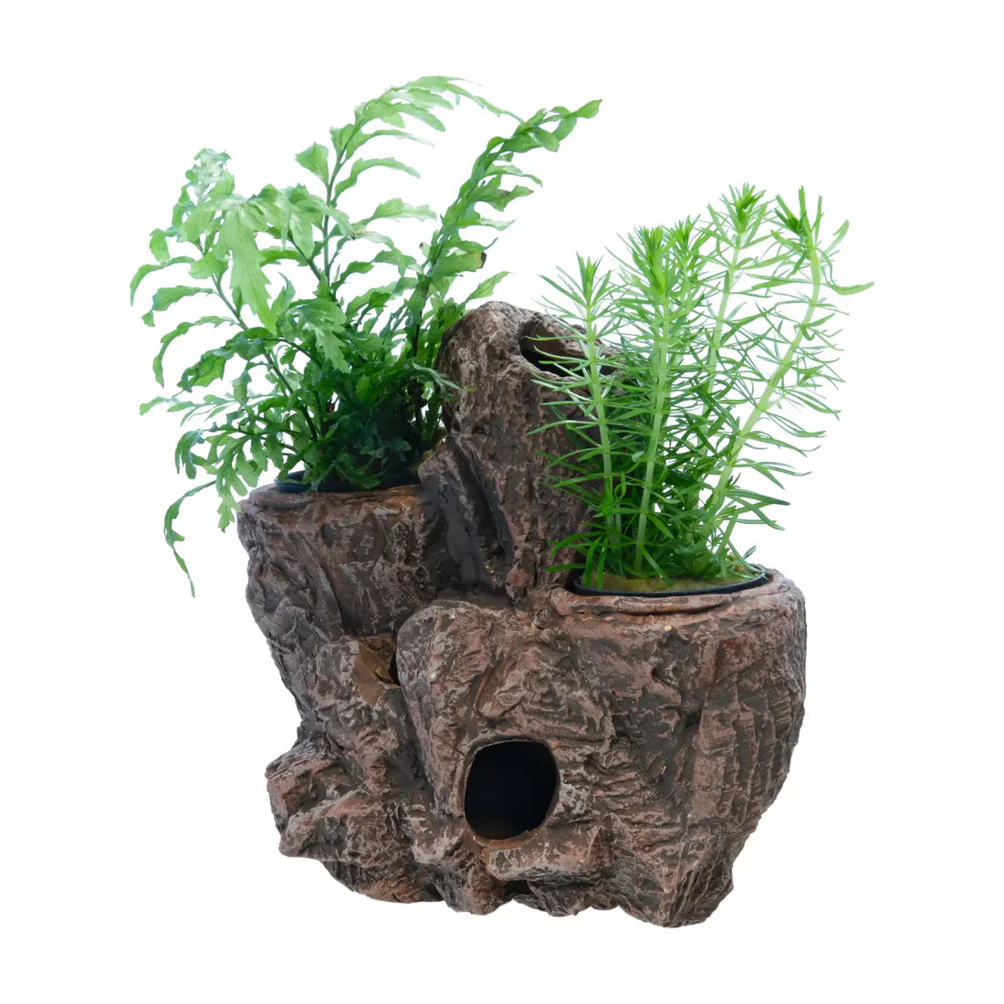 Superfish Scapers Floating Planty - Available In 2 Sizes