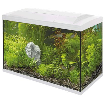 Superfish Starter Fish Tank - Available In 6 Sizes & 2 Colours