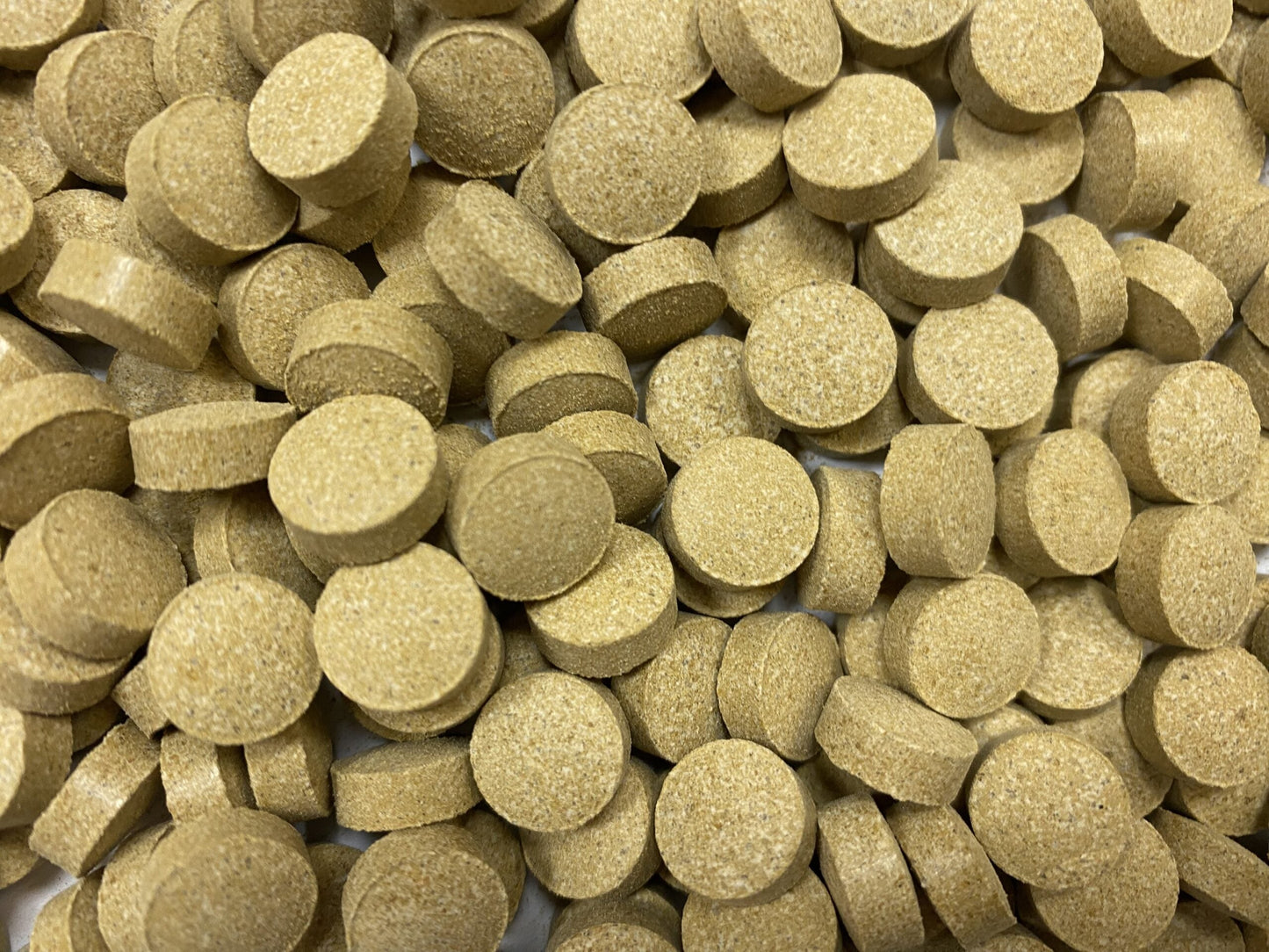 Fish Science Corydoras Tablets 50g