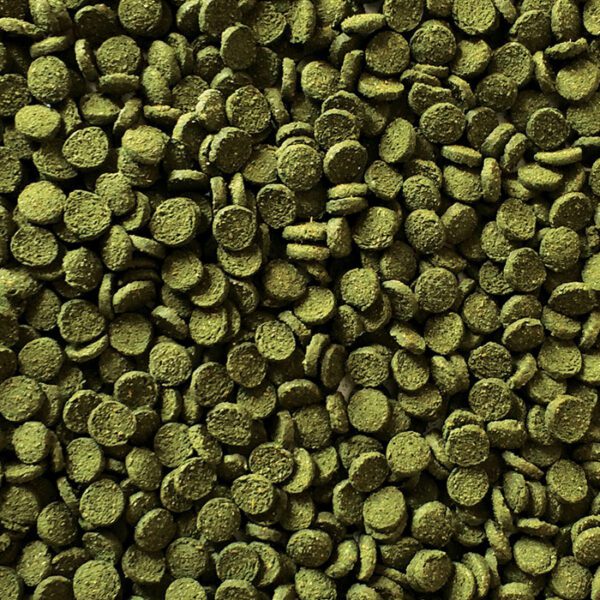 Fish Science Mini Algae Wafers 45g