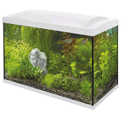 Superfish Starter Fish Tank - Available In 6 Sizes & 2 Colours