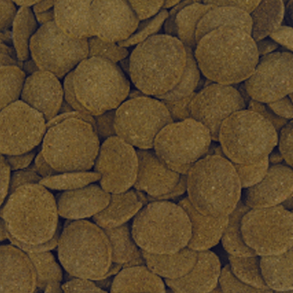 AQUARIAN® Algae Wafers - Available In 2 Sizes