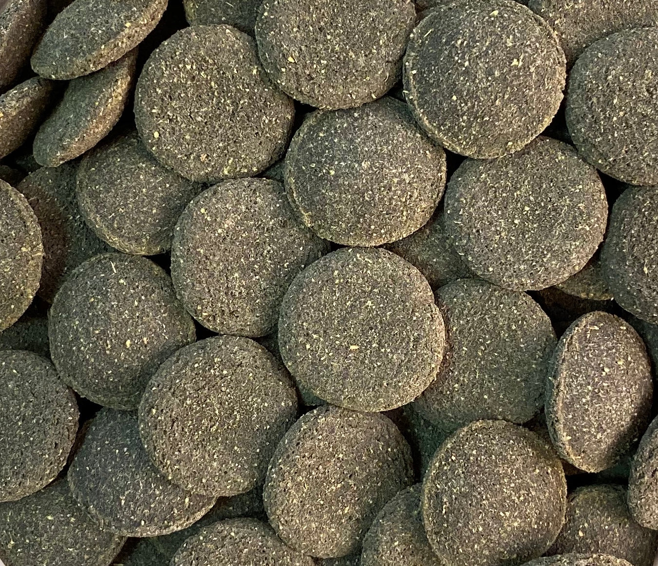 Fish Science Oak & Algae Wafers - Available In 2 Sizes