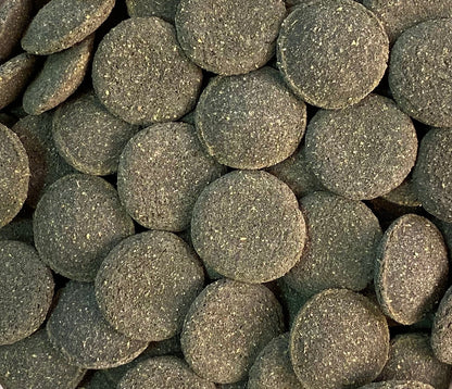 Fish Science Oak & Algae Wafers - Available In 2 Sizes