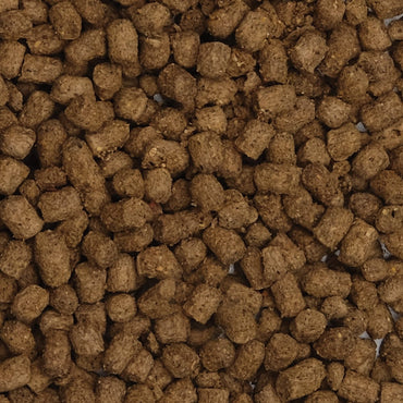 Fluval Bug Bites Cichlid Pellets 100g