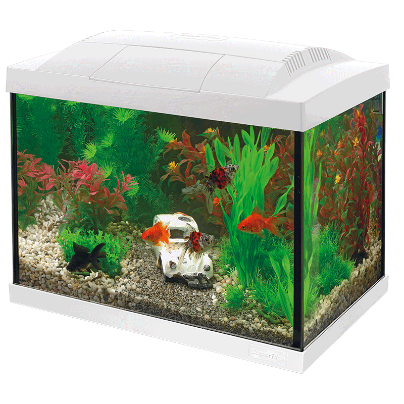 Superfish Starter Fish Tank - Available In 6 Sizes & 2 Colours