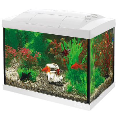Superfish Starter Fish Tank - Available In 6 Sizes & 2 Colours