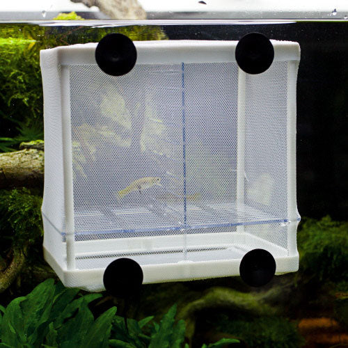Hobby NIDO 3.1 Floating Breeder Net