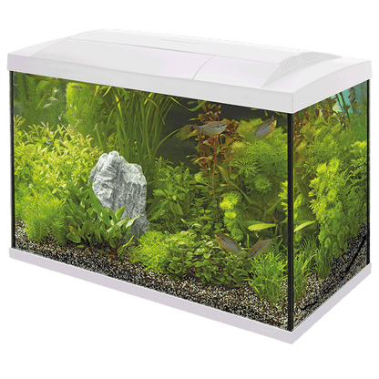 Superfish Starter Fish Tank - Available In 6 Sizes & 2 Colours