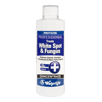 Waterlife Protozin - Available In 4 Sizes