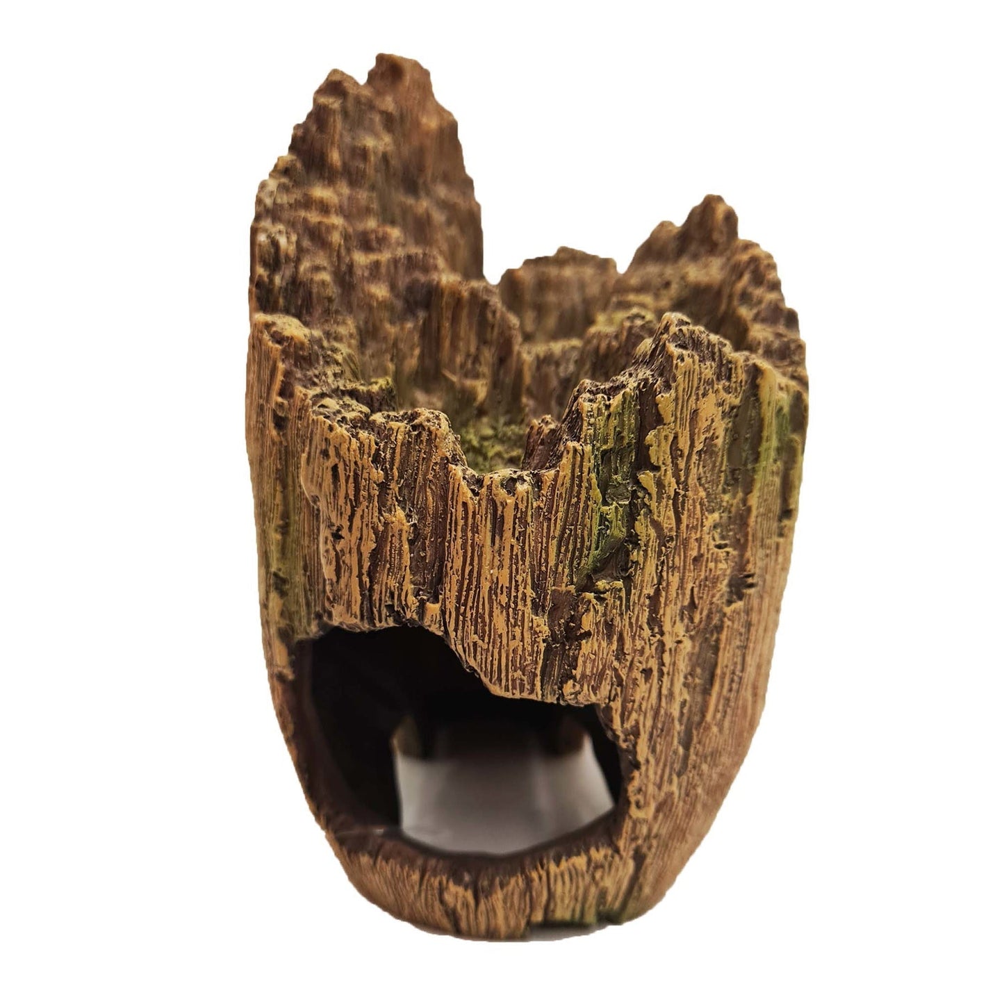 Betta Wood Effect Skull