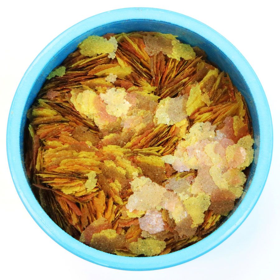 AQUARIAN® Goldfish & Coldwater Flake Food - Available In 2 Sizes