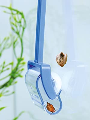 Dennerle Snail Catcher