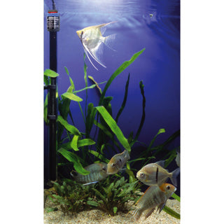 Eheim Thermocontrol Aquarium Heater - Available In 9 Sizes