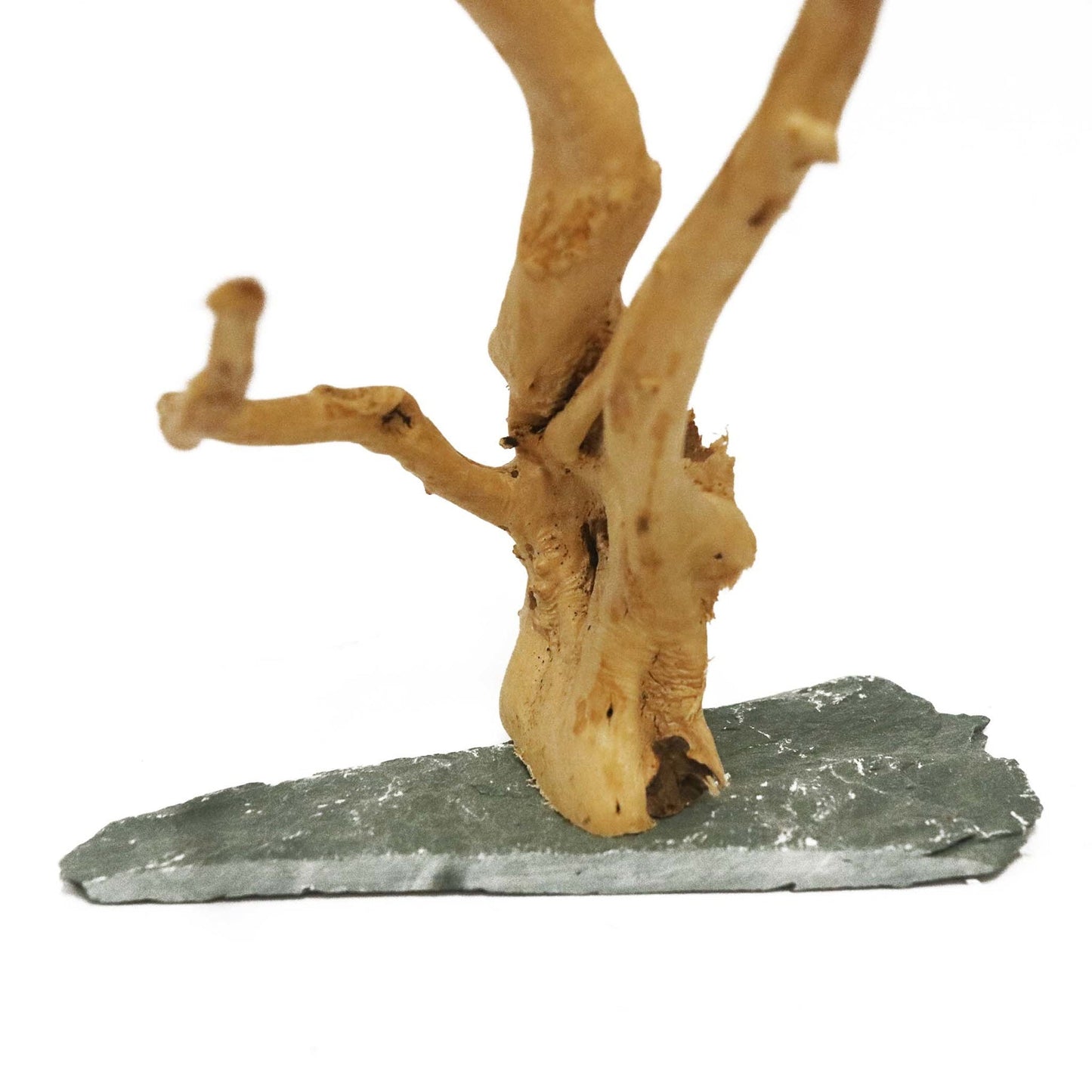 Wood Root With Slate Rock 30-45cm