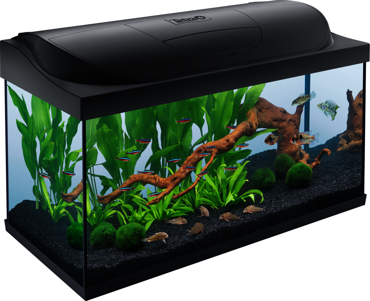 Tetra Starter 105 Litre LED Fish Tank