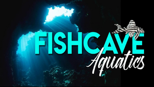Fish Cave Aquatics Ltd