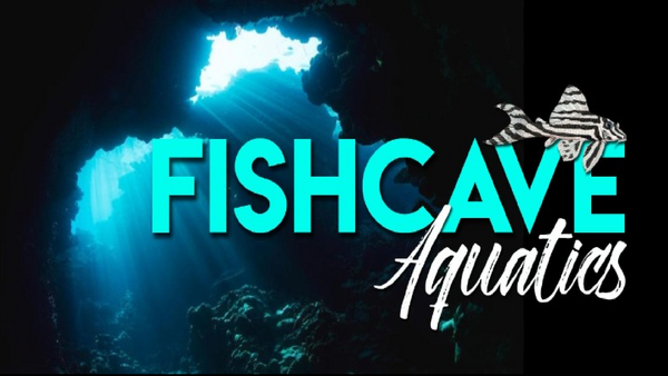 Fish Cave Aquatics Ltd